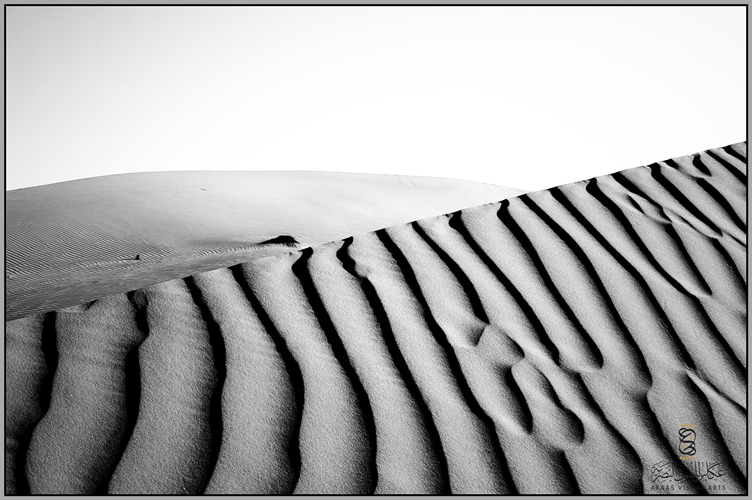 Black and white of Dunes