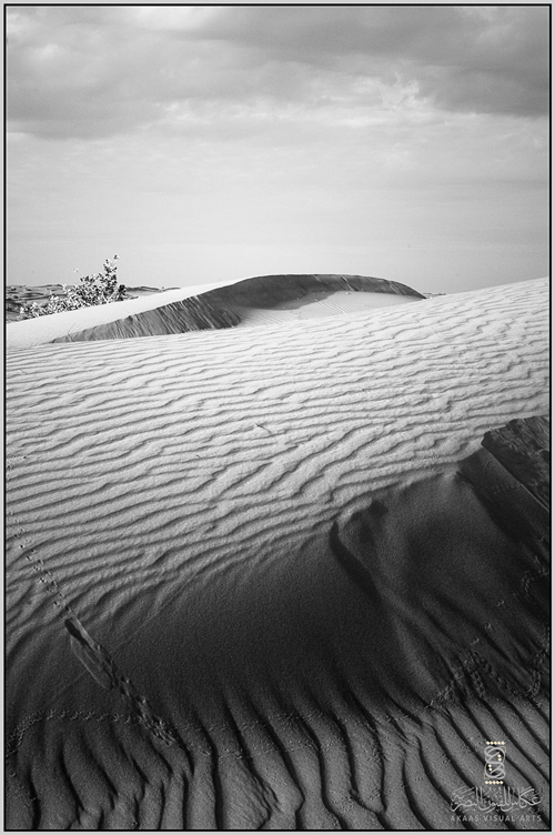 Dunes in the desert